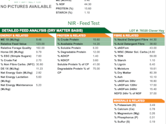 270mt Clover Rye Hay 600kg 8x4x3 Bales