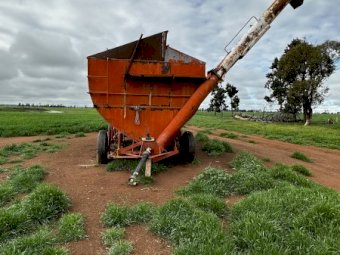 Bordignon Mother Bin approx 30 mt