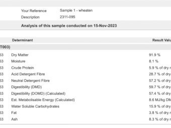 77mt Wheaten Hay 645kg 8x4x3 Bales
