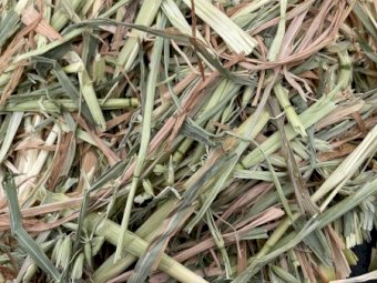 100 mt Oaten Hay