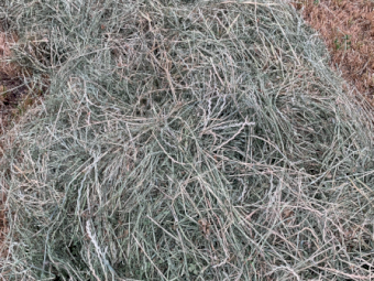40mt Irrigated Ryegrass & Shaftal Clover Round Bales