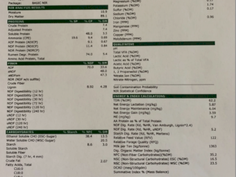250 x Wheaten/Rye Lucerne Hay 5x4 Round Bales