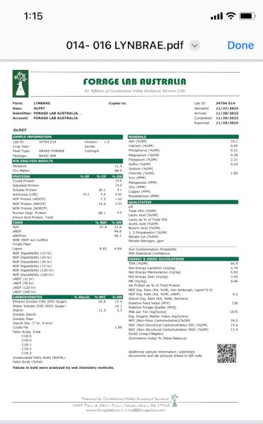 Rye Grass Clover 5x4 Rolls