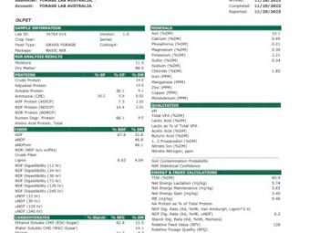 Rye Grass Clover 5x4 Rolls