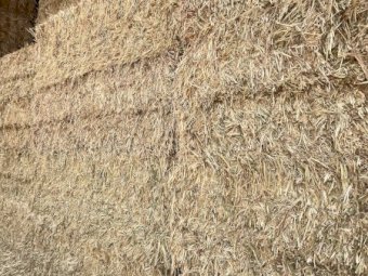 155mt Oaten Hay 620-630kg 8x4x3 Bales