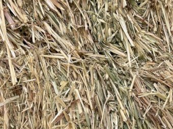 155mt Oaten Hay 620-630kg 8x4x3 Bales