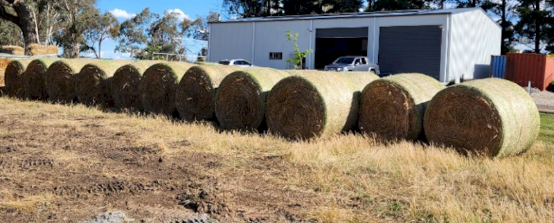 20 x Oaten Hay 4x4 Round Bales