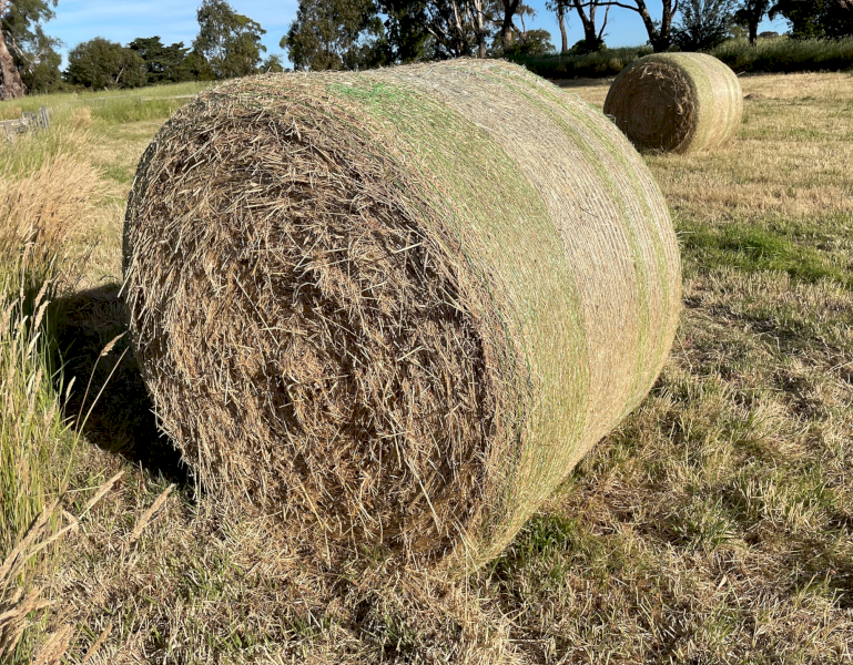 21 x Pasture Hay 5x4 Rolls