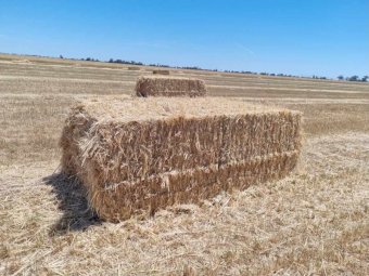 2 x B-Double Loads of Cereal and Rye Hay