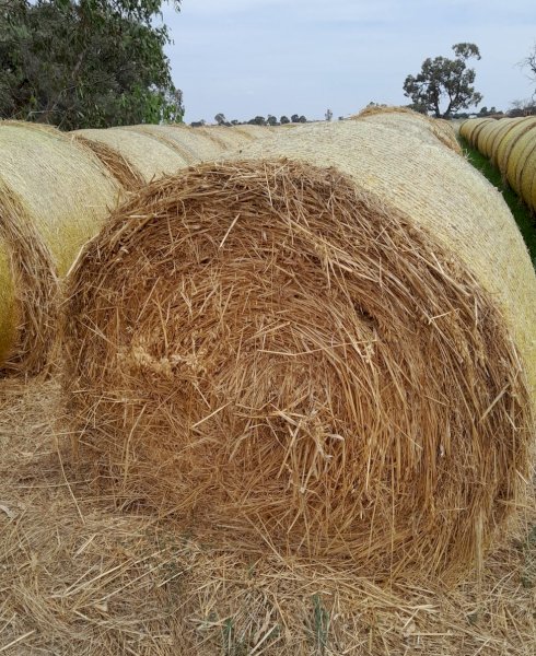 65 x Oaten Rolls 5x4 Rolls