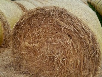 65 x Oaten Rolls 5x4 Rolls