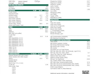 383mt Vetch & Wheat Hay 8x4x3 Bales