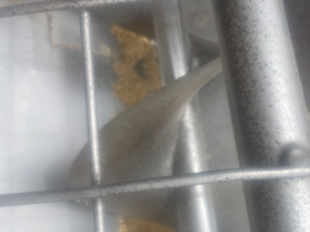 Westfield 10-71 Swing Away Auger