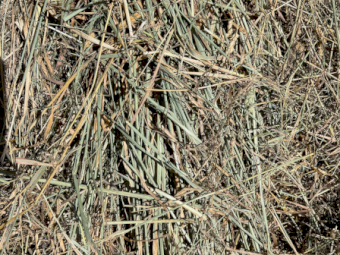 300 x Pasture Clover Hay 5x4 Round Bales