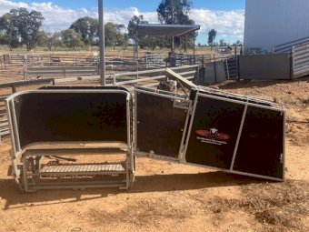 Combi Clamp Sheep Handler