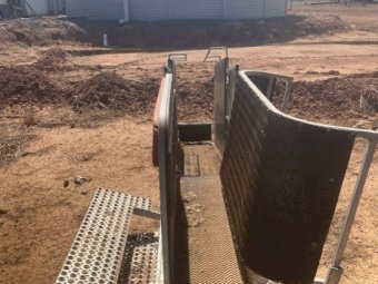 Combi Clamp Sheep Handler