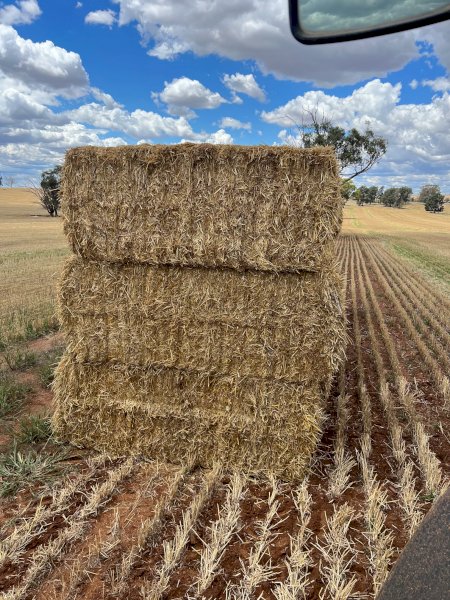 23/24 Season Wheaten Straw