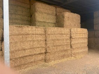 130 mt Lucerne /Clover Hay Mix