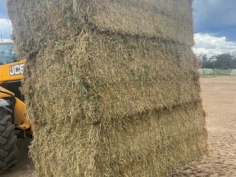 130 mt Lucerne /Clover Hay Mix