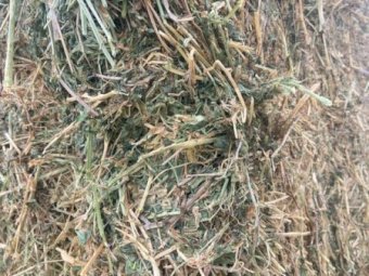 130 mt Lucerne /Clover Hay Mix