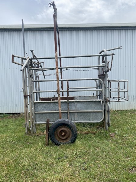 Portable Cattle Crush