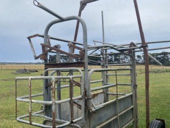 Portable Cattle Crush