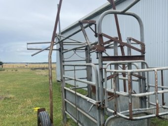 Portable Cattle Crush