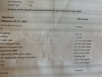 250mt Vetch Hay 600-650kg 8x4x3 Bale