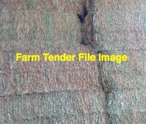 100mt Clover Hay 5x4 Round Bales