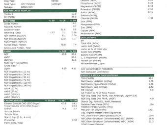 135mt Oaten Hay 670kg 8x4x3 Bales