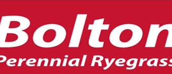 Bolton Perennial Ryegrass