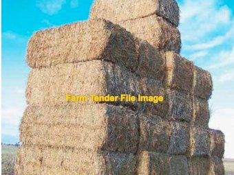 Canola Straw 8x4x3 Bales