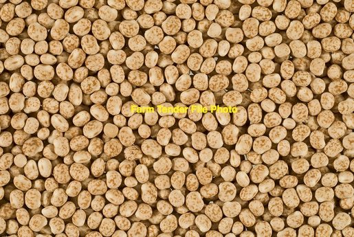 WANTED 2-4 ton Feed Lupins
