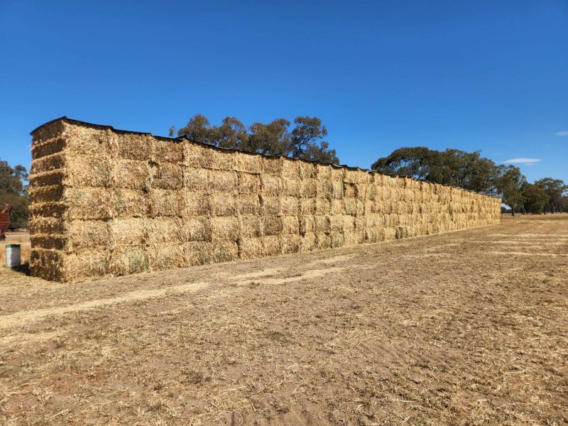 150 mt Oaten Hay