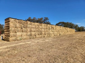 150 mt Oaten Hay