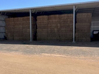 42mt Vetch Hay 650kg  8x4x3 Bales