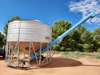 Campbell 35mt Field Bin