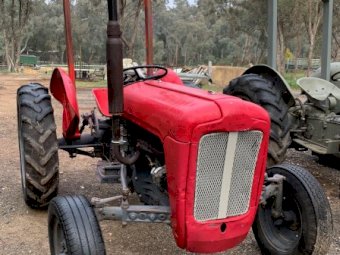 Massey Ferguson 35 Petrol Tractor