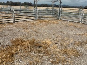 Under Auction - (A243) 2019 Stockpro 1200 Head Sheep Yards 
