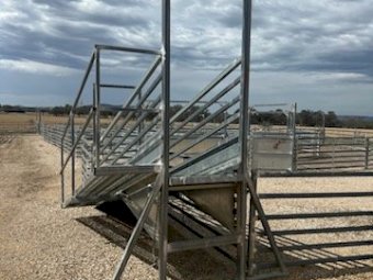Under Auction - (A243) 2019 Stockpro 1200 Head Sheep Yards 
