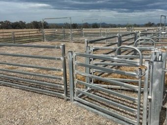 Under Auction - (A243) 2019 Stockpro 1200 Head Sheep Yards 