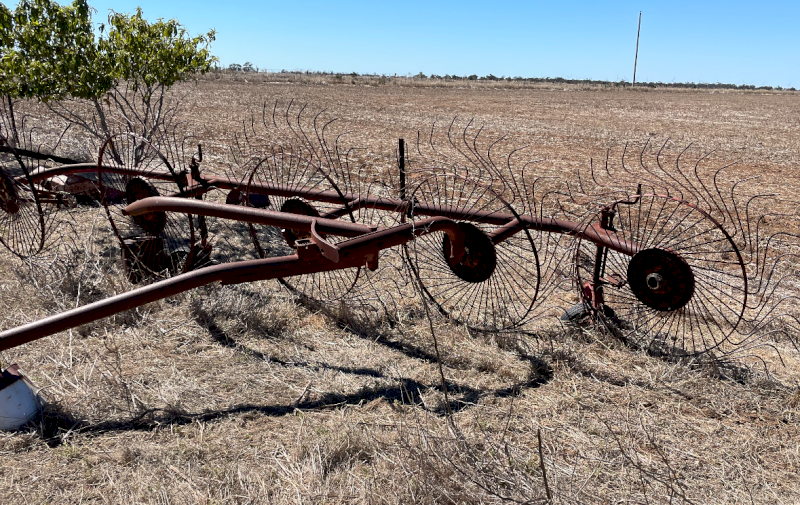 Silvan 5 Wheel Hay Rake
