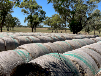 Oaten & Barley Hay Rolls