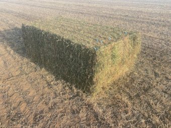200mt Vetch Hay 600-650kg 8x4x3 Bales