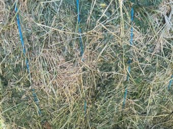 21mt Lucerne Hay 360kg 8x3x3 Bales