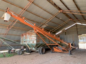 Sherwell 50x 9 1/2  Auger