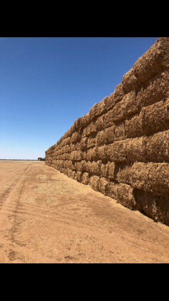 Vetch Hay 23/24 season