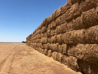 Vetch Hay 23/24 season