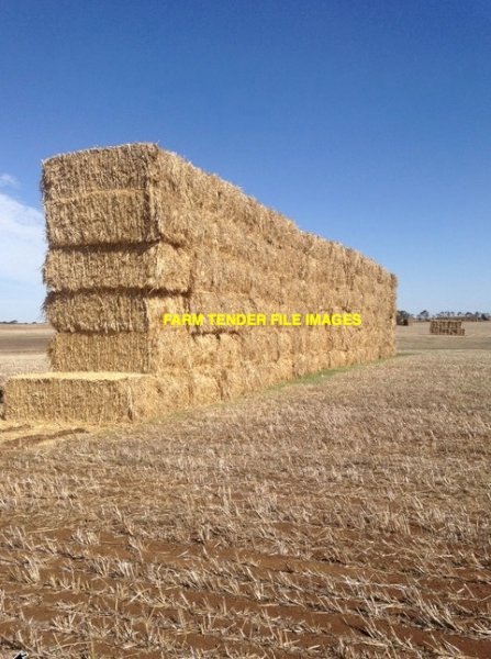 58 x Wheaten Hay 8x4x3 Bales