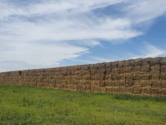 250MT Wheaten Hay 600Kg 8X4X3 Bales